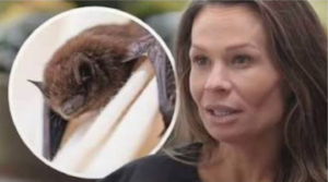 DISTURBING HEADLINES: Virginia Woman Undergoes Rabies Treatment After Waking Up With Live Bat in Her Mouth [VIDEO]